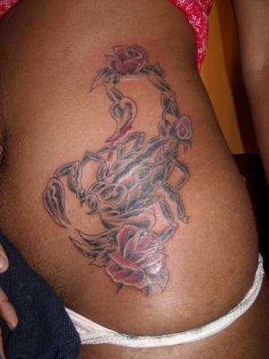 scorpion